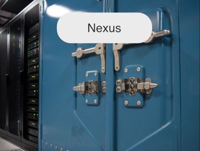 Nexus Reverse Proxy Server
